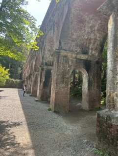 Ht